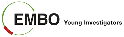 EMBO-YIP logo